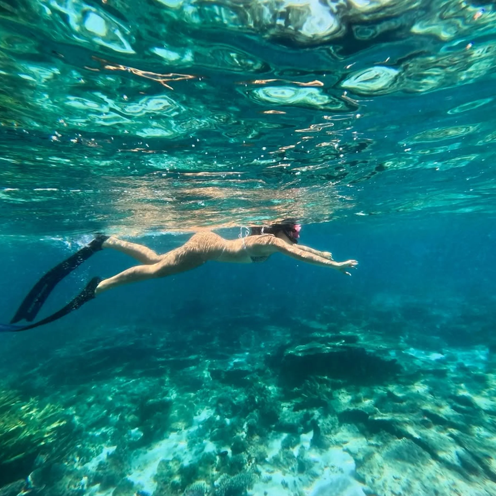 underwater coral reef with fish