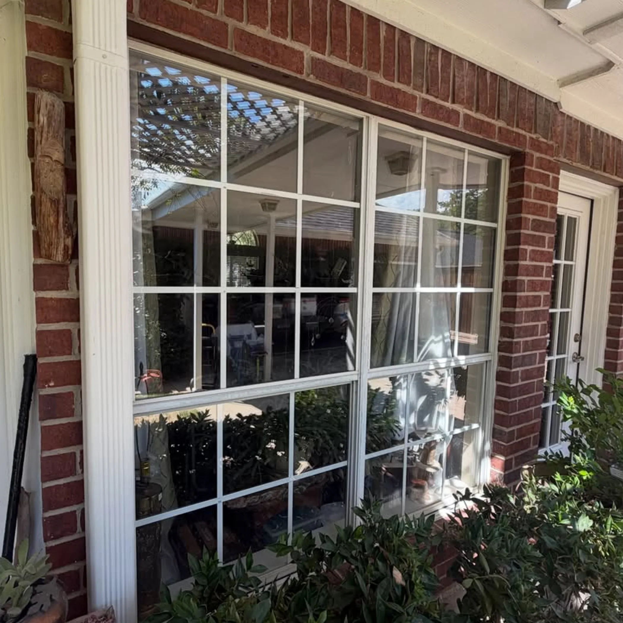 clean residential windows