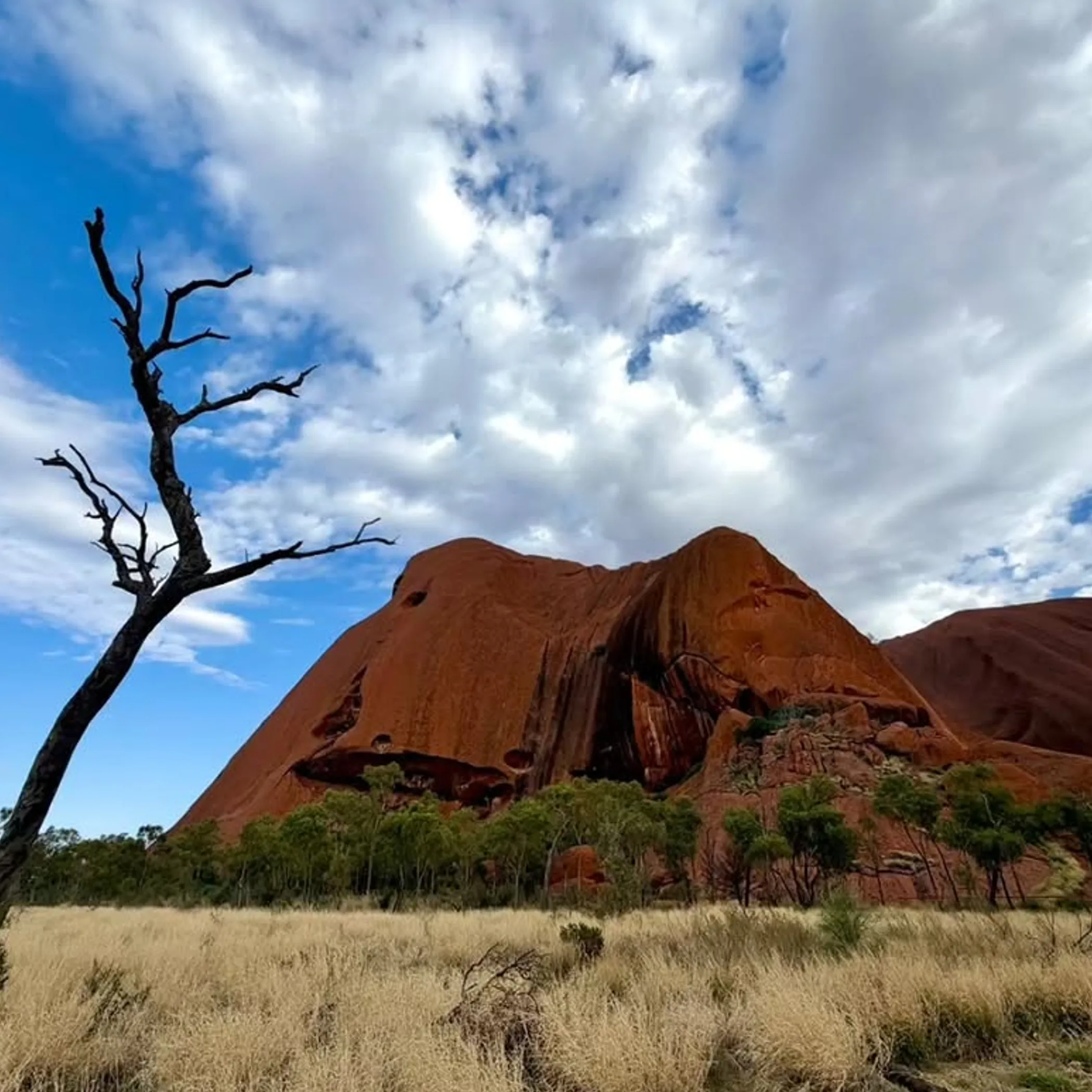 uluru and surrounding red centre scenery