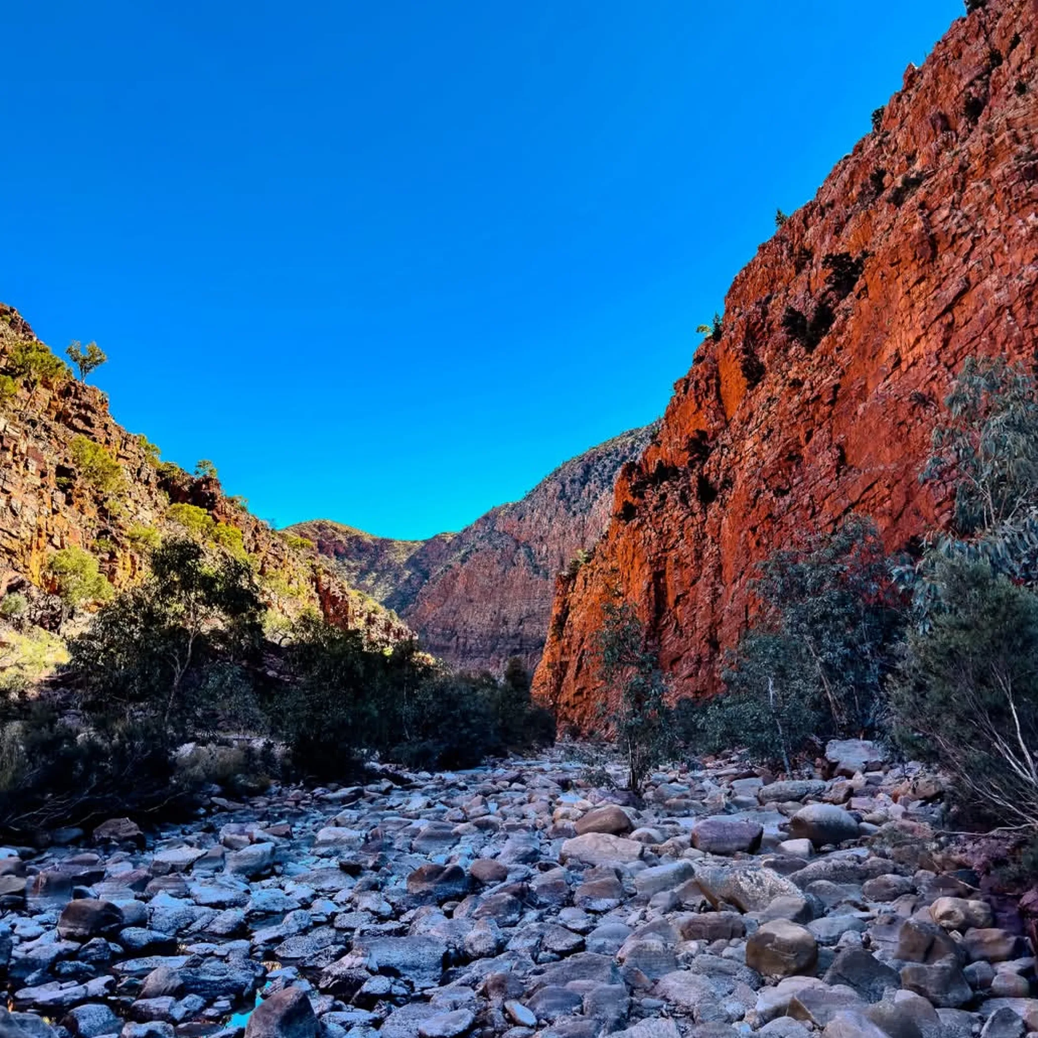 remote australian outback trail landscape