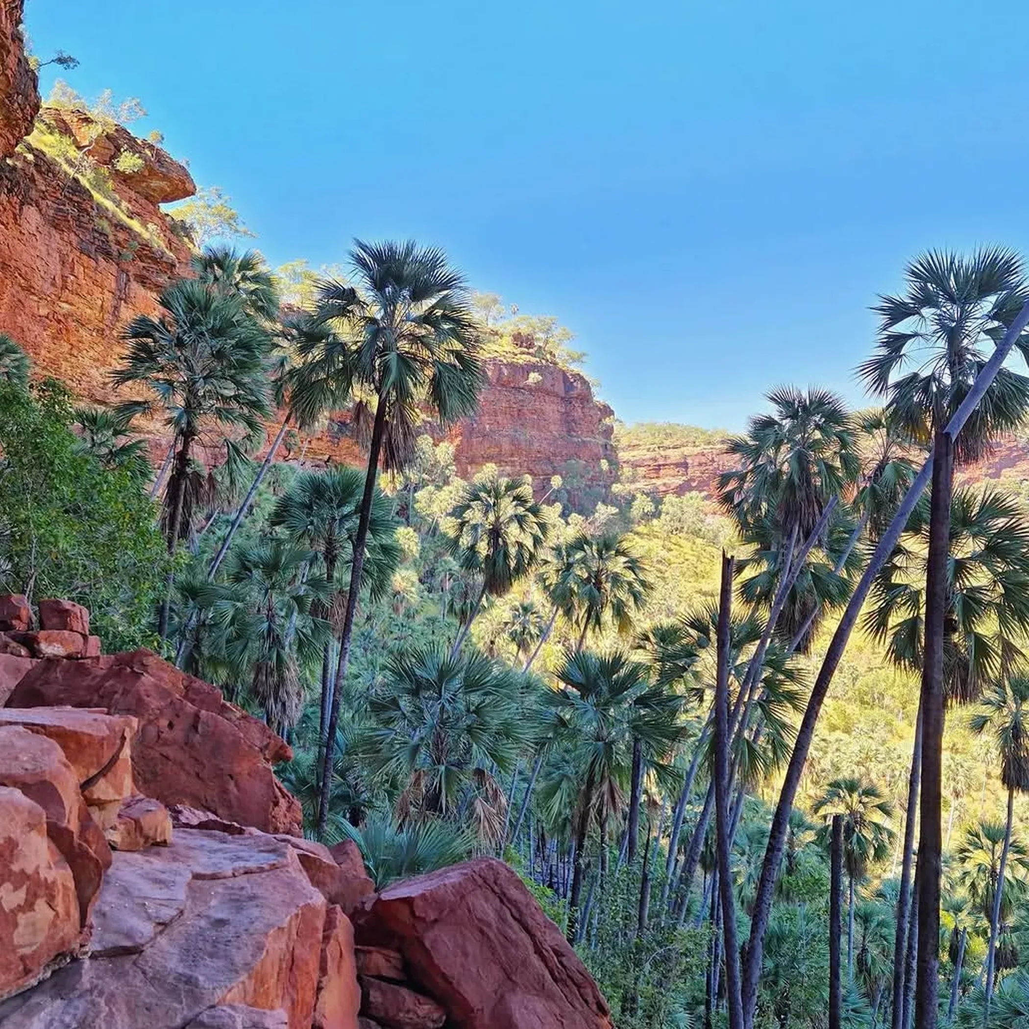 rugged australian outback landscape