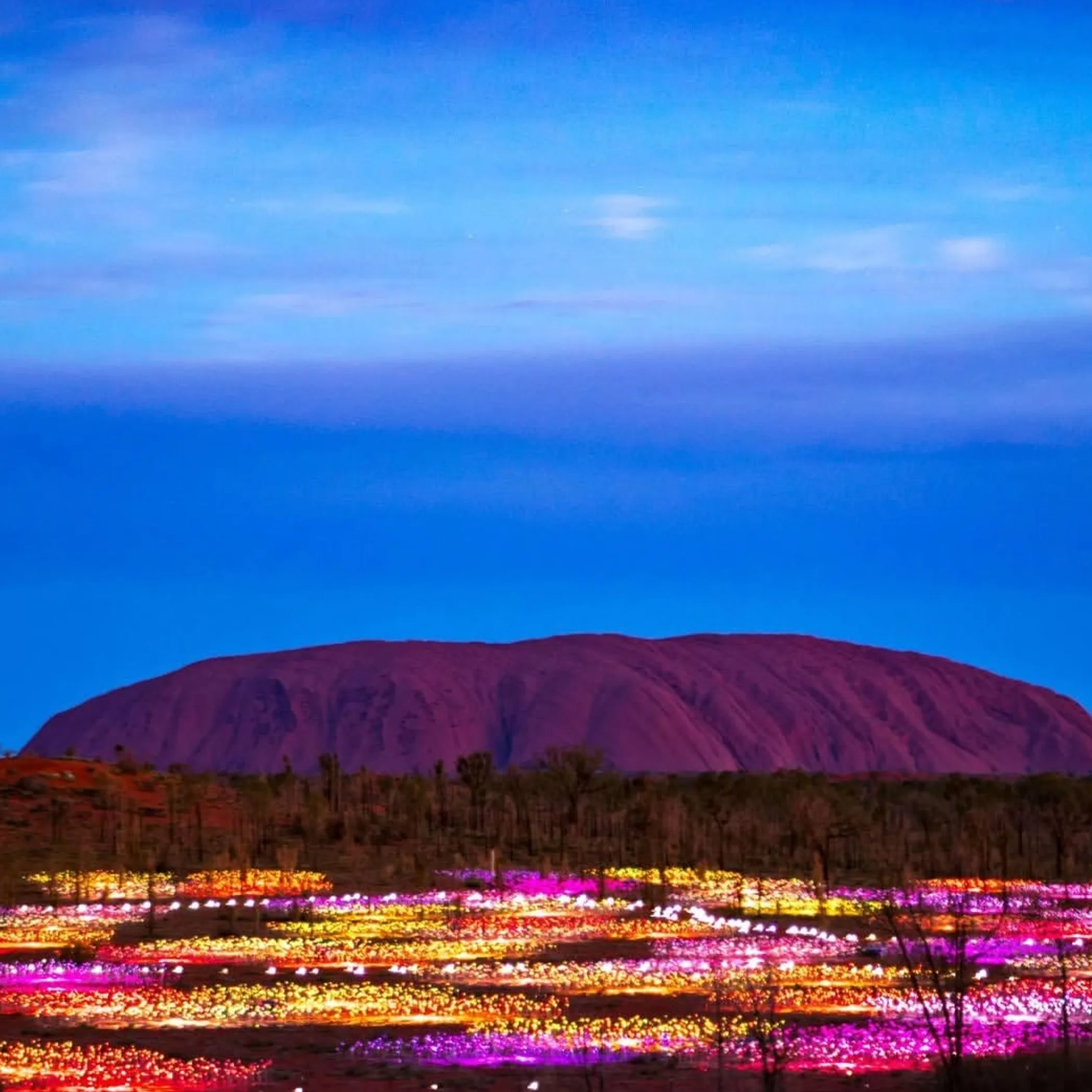 uluru and nighttime field of light